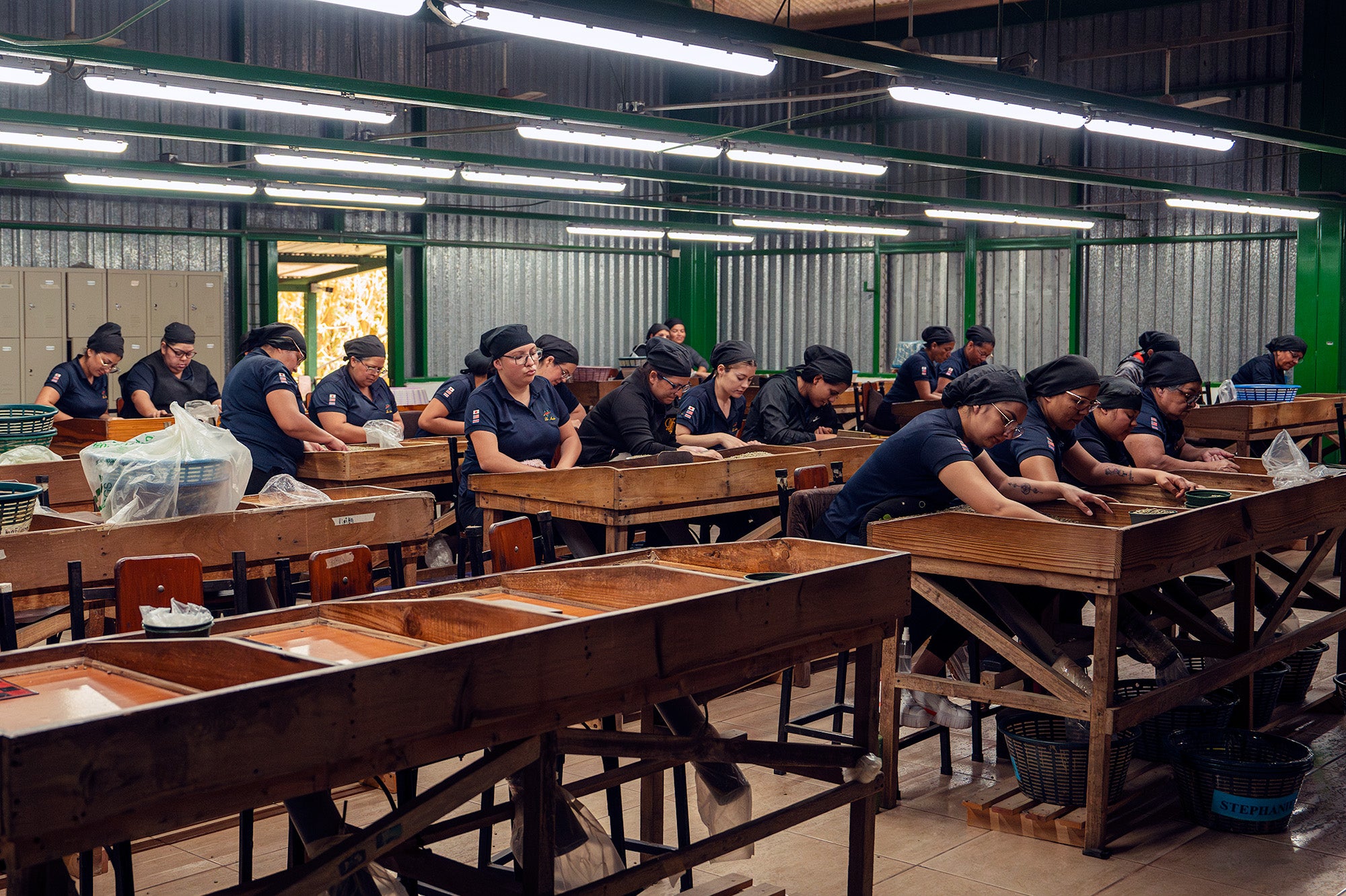 A room is filled with women, sittting at tables with built in trays. Their hands reach down to sort unseen coffee beans. Baskets sit beneath the tables to catch discarded coffee.