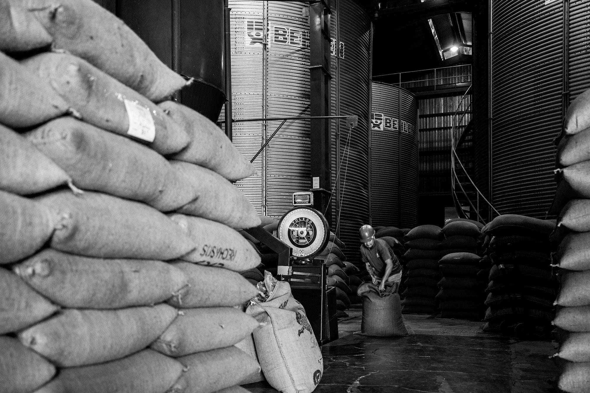 The interior of a warehouse, in black and white, showing large metal silos surrouned by 5 foot tall stacked burlap sacks of coffee. In the center, a man drags a bag of coffee from a large scale toward one stack.