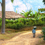 Person walking along a dirt path in a rural area with greenery and a traditional house.