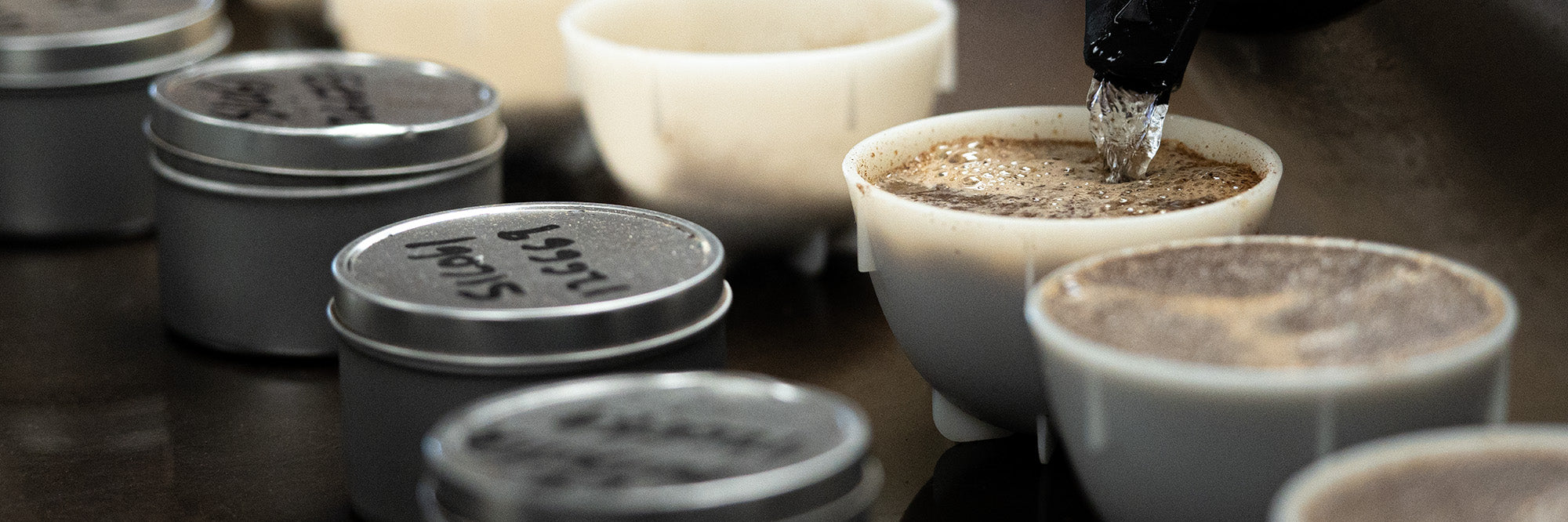 Pouring water into a cupping bowl at the Kaldi's Coffee St. Louis Roastery