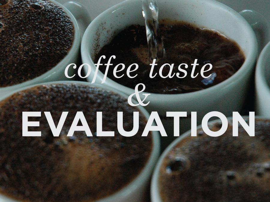 Coffee Taste & Evaluation