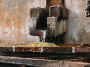 Image of water washing coffee beans